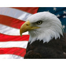 Military and Government Sales & Service Division