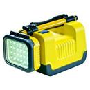 Remote Area Lighting Systems