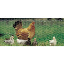 Poultry Netting
