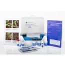 Anti-Nuclear Antibody (ANA) Complete Kit