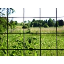 Mesh for Caging, Enclosures, and Fencing