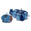 Leeson Speedmaster&reg; Inverter-duty/Vector Duty TENV/TEBC Motors