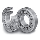 200 Series Cylindrical Roller Bearings