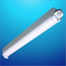 DSLED Series LED Lights