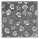 Aluminum Oxide Precision Lapping Powder