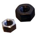 Hex Nuts