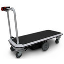 Model 1031 Pony Express Motorized Carts