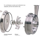 Centrifugal Pumps
