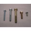Cap Screws