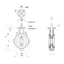 Series 58 Teflon Lined Valves DIN PN10