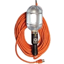 2900 Series Light Duty Incandescent Handlamps