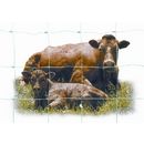 Field Fence
