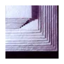 Sorbent Pads