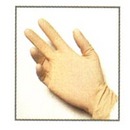 Powder Free Glove