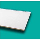 Clean Room Ceiling Tiles