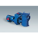 Self-Priming Centrifugal Pool Pumps