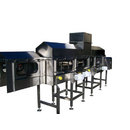 Custom & Standard Conveyor Systems