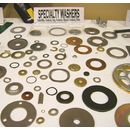 Specialty Washers