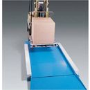 Floor Scales