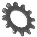 External Tooth Lock Washers