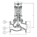 PN 16 Cast Steel Overboard Spring loaded, Globe Valve