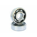 6300 Series Medium Series Bearings - NOMA Bearing Corp.