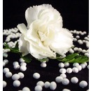 Encapsulation / Microencapsulation Services