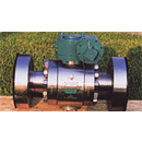 Specialty Valves