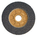 Flap Discs