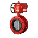 Series 70 Electric Actuator