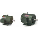 Leeson Wattsaver® ODP Rigid Base Premium Efficiency Motors (1/3 - 200HP) - Wolters Motors &amp; Drives