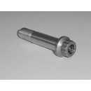 Strainsert Custom Bolt