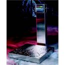 Weigh-Tronix 3275 Medium Capacity Bench Scales
