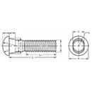 Oval Neck Track Bolts
