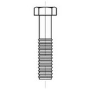 Stainless Steel Bolts