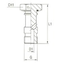 Banjos Bolts Thread BSP Parallel