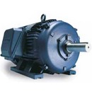 Custom Multi-Speed, Low Speed and Modified Motors