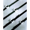 Plastic Buckles