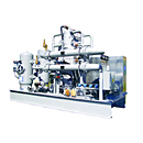 Gas Compressors 2DS Series