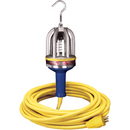 2600 Hazardous Location Explosion Proof Handlamp