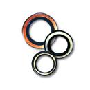 Oil Seals Inch Series