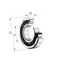 1000 Series Cylindrical Roller Bearings