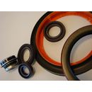 Rotary & Shaft Seals