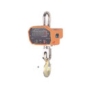 Economy Digital Crane Scales