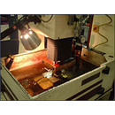 Mold Building Services