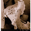Particle Coating & Particle Surface Modification Services