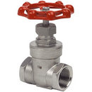 Stainless Steel Gate Valves