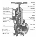 250 lb SP Cast Iron Non-Return Valves