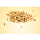 Miniature Screws