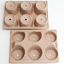 Environment Friendly Packaging Products & Services